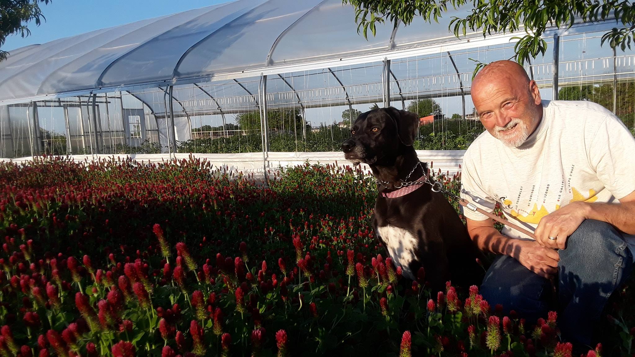 A man kneels beside a black dog in a vibrant field of red flowers, with a greenhouse in the background under a clear blue sky.